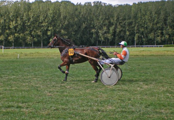 Cliquez pour voir l'image en taille relle