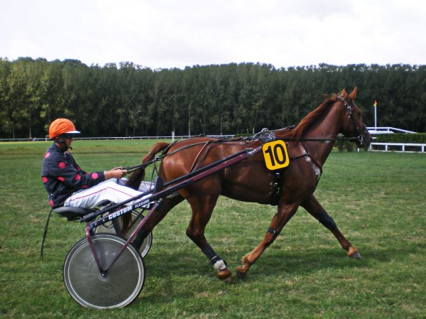 Cliquez pour voir l'image en taille relle