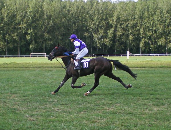 Klik for at se fuld strrelse billede