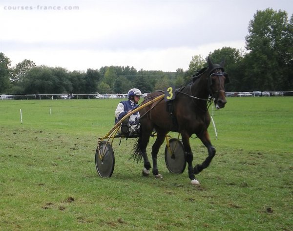 Klicken fr Bild in voller Gre