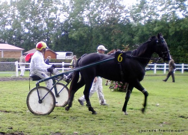 Cliquez pour voir l'image en taille relle