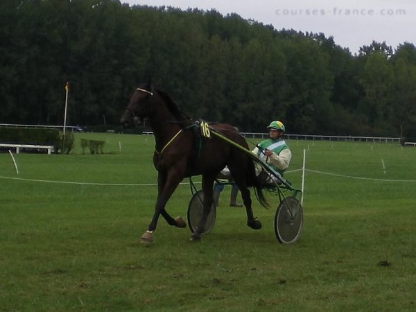 Klik op de foto om originele grootte te bekijken