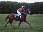 Arquivo : chateauroux-20090920-0141-rubis-gede.jpg
Tamanho : 168KB
Dimensões : 1024x768
Data de Envio : 21 de Set, 2009 chateauroux-20090920-0141-rubis-gede.jpg
