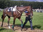 chateauroux-20090920-0158-peps_o.jpg