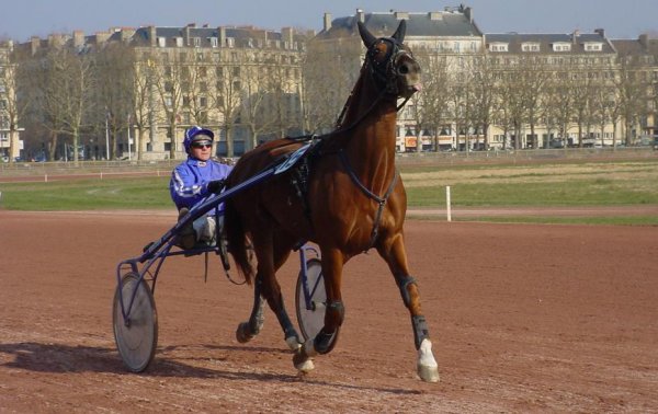 Cliquez pour voir l'image en taille relle