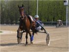 Dateiname : guilia01.jpg
Dateigröße : 105kB
Abmessungen : 800x609
hinzugefügt am : 25.Mai 2006 guilia01.jpg