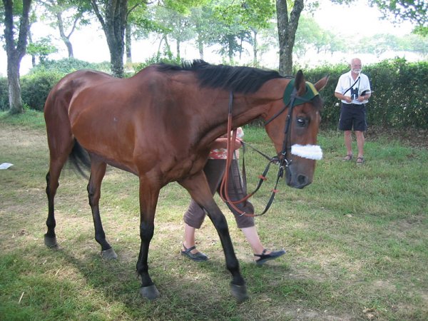 Klicken fr Bild in voller Gre