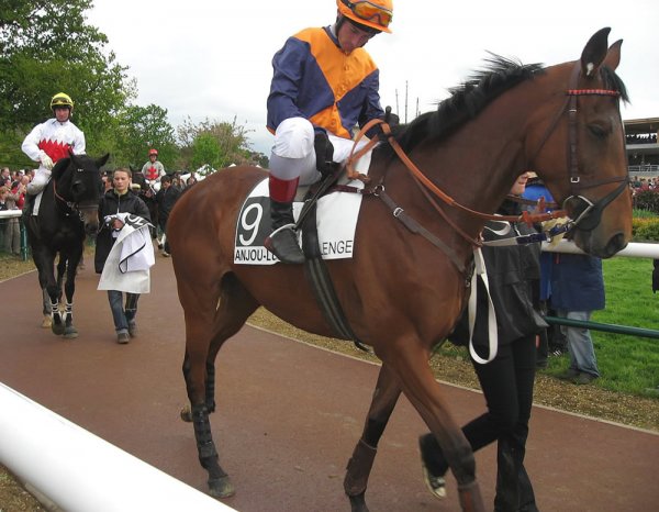 Klik for at se fuld strrelse billede
