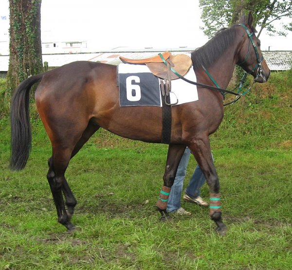 Klicken fr Bild in voller Gre