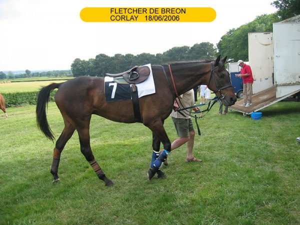 Klik for at se fuld strrelse billede
