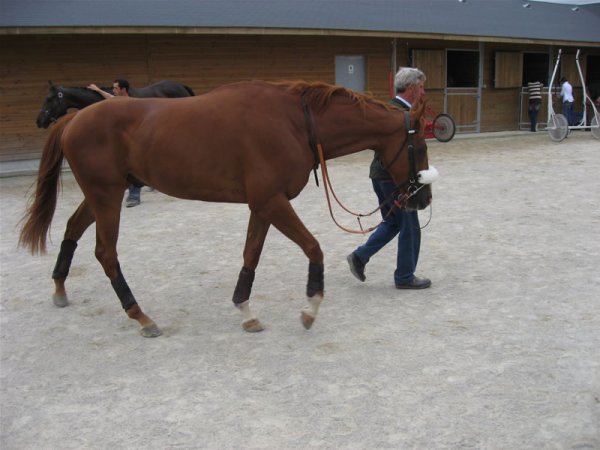 Klik for at se fuld strrelse billede