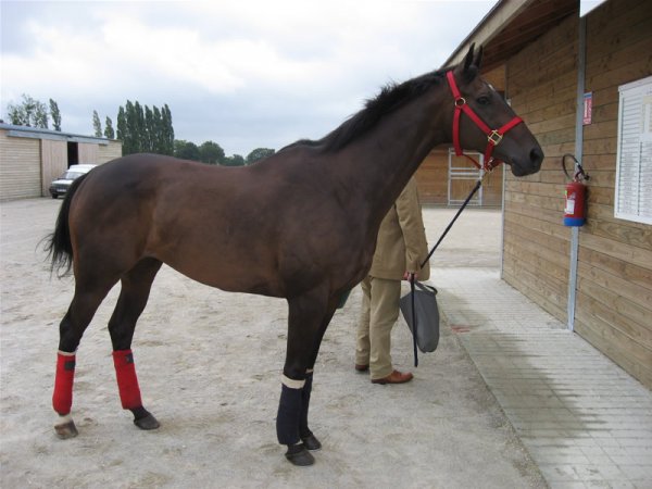 Klik for at se fuld strrelse billede