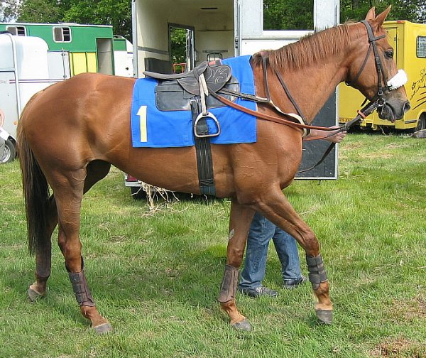 Cliquez pour voir l'image en taille relle