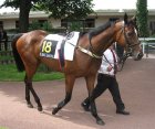 Arquivo : Auteuil-25mai2008-Atamane (2).jpg
Tamanho : 176KB
Dimensões : 800x674
Data de Envio : 10 de Jun, 2008 Auteuil-25mai2008-Atamane (2).jpg
