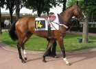 Arquivo : Auteuil-25mai2008-Bravou (3).jpg
Tamanho : 171KB
Dimensões : 800x580
Data de Envio : 10 de Jun, 2008 Auteuil-25mai2008-Bravou (3).jpg