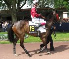 Arquivo : Auteuil-25mai2008-DroledeDrame.jpg
Tamanho : 207KB
Dimensões : 800x680
Data de Envio : 10 de Jun, 2008 Auteuil-25mai2008-DroledeDrame.jpg