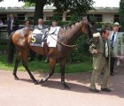 Arquivo : Auteuil-25mai2008-FairAttitude (1).jpg
Tamanho : 184KB
Dimensões : 800x686
Data de Envio : 10 de Jun, 2008 Auteuil-25mai2008-FairAttitude (1).jpg