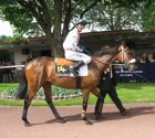 Auteuil-25mai2008-GrandeHaya.jpg