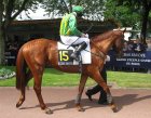 Auteuil-25mai2008-Jayo.jpg