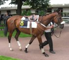 Arquivo : Auteuil-25mai2008-LeRibardon (1).jpg
Tamanho : 173KB
Dimensões : 800x694
Data de Envio : 10 de Jun, 2008 Auteuil-25mai2008-LeRibardon (1).jpg