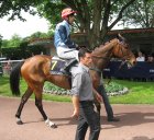 Auteuil-25mai2008-Malikhan.jpg