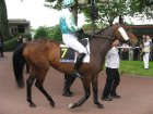 Arquivo : Auteuil-25mai2008-MonOiseau (3).jpg
Tamanho : 156KB
Dimensões : 800x600
Data de Envio : 10 de Jun, 2008 Auteuil-25mai2008-MonOiseau (3).jpg