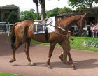 Arquivo : Auteuil-25mai2008-Monoalco (4).jpg
Tamanho : 181KB
Dimensões : 800x623
Data de Envio : 10 de Jun, 2008 Auteuil-25mai2008-Monoalco (4).jpg
