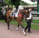 Arquivo : Auteuil-25mai2008-MrThriller (1).jpg
Tamanho : 196KB
Dimensões : 800x767
Data de Envio : 10 de Jun, 2008 Auteuil-25mai2008-MrThriller (1).jpg