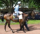 Arquivo : Auteuil-25mai2008-OeilDuMaitre.jpg
Tamanho : 218KB
Dimensões : 800x682
Data de Envio : 10 de Jun, 2008 Auteuil-25mai2008-OeilDuMaitre.jpg
