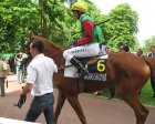 Nom du fichier : Auteuil-25mai2008-QuittoBleu.jpg
Poids du fichier : 200Ko
Dimensions : 800x643
Ajouté le : 10 Juin 2008 Auteuil-25mai2008-QuittoBleu.jpg