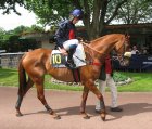 Nom du fichier : Auteuil-25mai2008-RiverCharm.jpg
Poids du fichier : 221Ko
Dimensions : 800x682
Ajouté le : 10 Juin 2008 Auteuil-25mai2008-RiverCharm.jpg