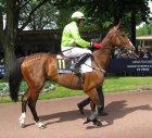 Auteuil-25mai2008-Scotsirish.jpg