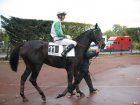 auteuil 5-6112005 dindounas4.jpg