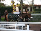 auteuil 5-6112005 goldenflight5.jpg