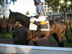 Nom du fichier : auteuil 5-6112005 gondleen2.jpg
Poids du fichier : 191Ko
Dimensions : 800x600
Ajouté le : 18 Dec 2005 auteuil 5-6112005 gondleen2.jpg