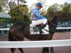 auteuil 5-6112005 lordcarmont2.jpg