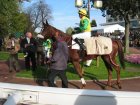 auteuil 5-6112005 nobeldere2.jpg