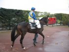 auteuil 5-6112005 ombredestruval4.jpg