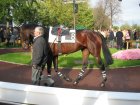 auteuil 5-6112005 princessepierji2.jpg