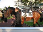 auteuil 5-6112005 saintrealise.jpg