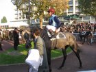 auteuil-2-6-nov-2006 RoyalHonor.jpg