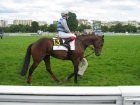 auteuil29052006 Apanal2.jpg