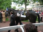 auteuil29052006 Kamillo.jpg