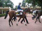 Nom du fichier : auteuil29052006 MidDancer3.jpg
Poids du fichier : 253Ko
Dimensions : 800x600
Ajouté le : 30 Mai 2006 auteuil29052006 MidDancer3.jpg