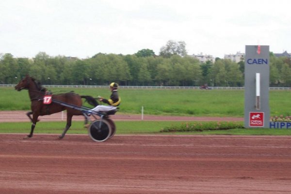 Cliquez pour voir l'image en taille relle