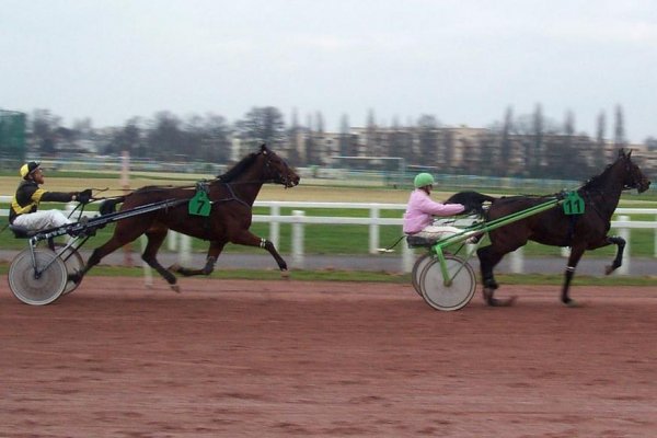 Cliquez pour voir l'image en taille relle