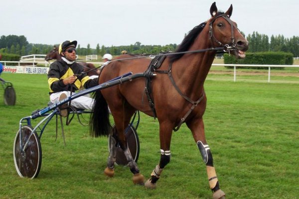 Cliquez pour voir l'image en taille relle