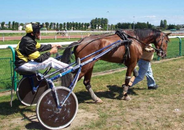 Klicken fr Bild in voller Gre