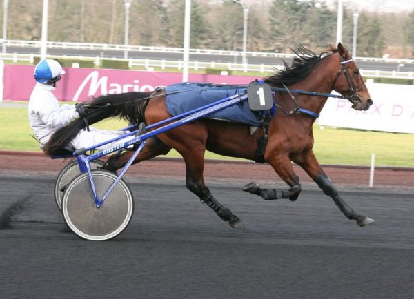 Klikk for  vise bildet i full strrelse