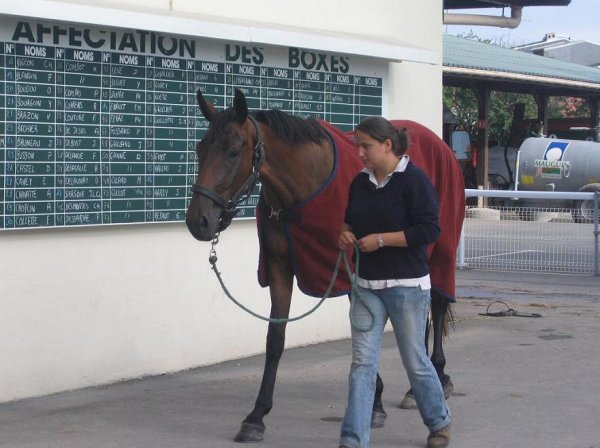 Cliquez pour voir l'image en taille relle